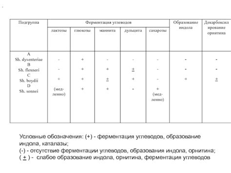 Отсутствие ферментации