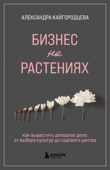 От выбора материала до создания модели: базовые концепции фрейи-печати