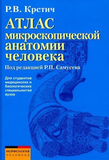 От элементов состава к микроскопической анатомии: исследование структуры костей