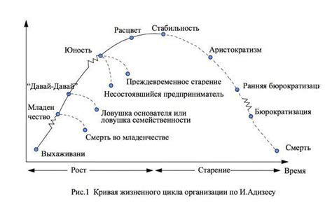 Официальная информация о жизненном цикле основных активов