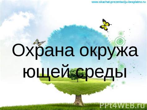 Охрана окружающей среды: влияние выбора мест обитания на жизнь пингвинов