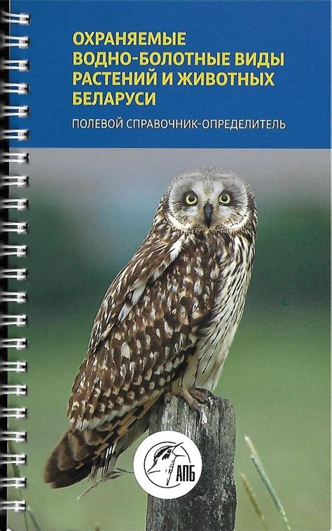 Охраняемые виды животных Беларуси: особенности мест обитания и меры по сохранению