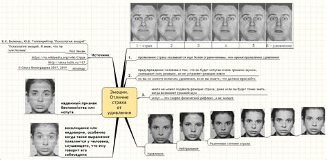 Оценка жилища по фотографиям и описанию