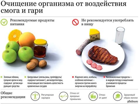 Очищение от пепла и гари: первоначальные этапы борьбы с неприятным запахом