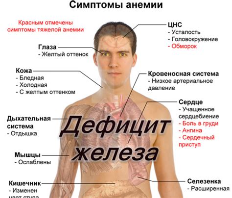 Ошибки в определении недостатка энергии в организме