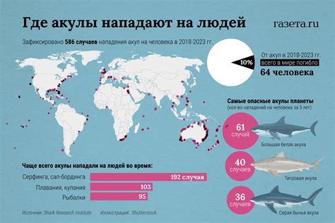 О невероятных событиях: акулы на редкость обитают на Российском Черноморском побережье