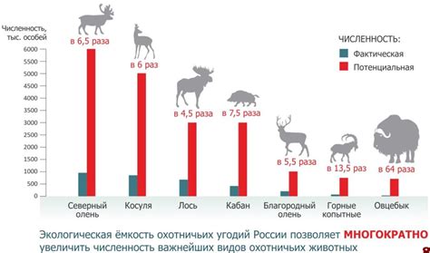 О редких нарушениях в развитии особей и их причинах