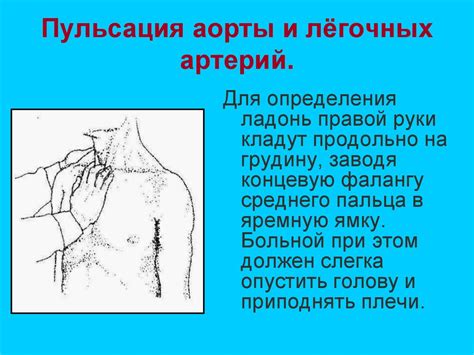 Пальпация вен: приемы и особенности