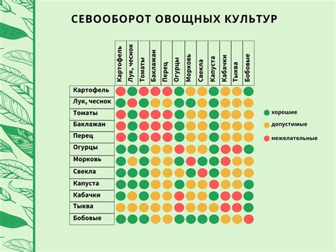 Параметры питательных овощей, оказывающих воздействие на оптимальное функционирование кишечника