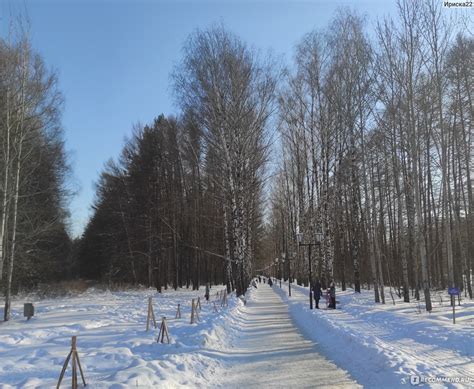 Парк "Липки": островок природы и покоя в сердце Витебска