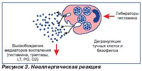 Патогенез возникновения крапивницы при потреблении продуктов на основе муки