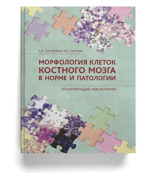 Патологии и заболевания костного мозга: воздействие на организм и методы лечения