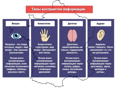 Первичные организаторы: ключевые участки восприятия информации