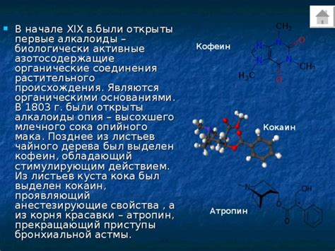 Первые органические соединения: история открытий