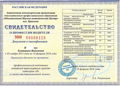 Первые свидетельства об упоминании способов идентификации автомобилей