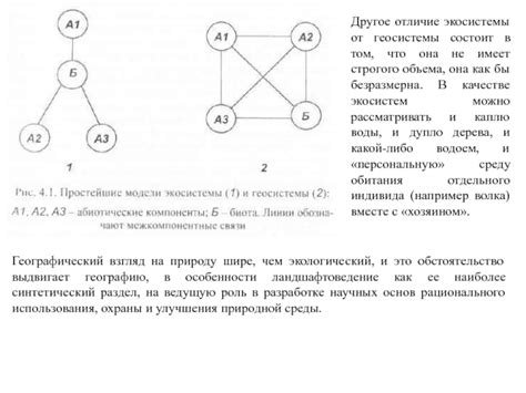 Первый взгляд: особенности экосистемы Тульского края и ее влияние на развитие белых грибов