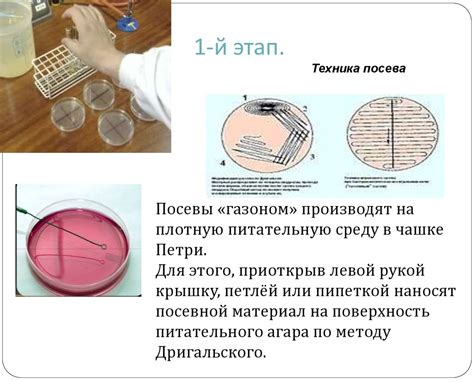 Передовые методы маркирования и выделения гибридных особей