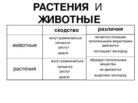 Пересечение взглядов гиласа и агностицизма: исследование сходств и различий