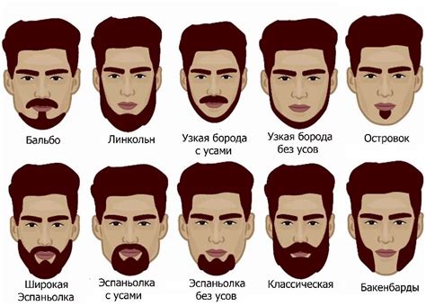 Периоды активного роста бороды и методы их определения