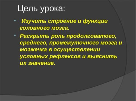 Персональные убеждения и их значение в осуществлении своей воли