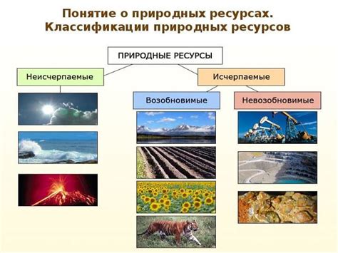 Перспективы использования природных ресурсов Подмосковья в различных отраслях