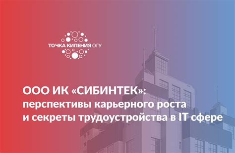 Перспективы применения ИНН в сфере трудоустройства