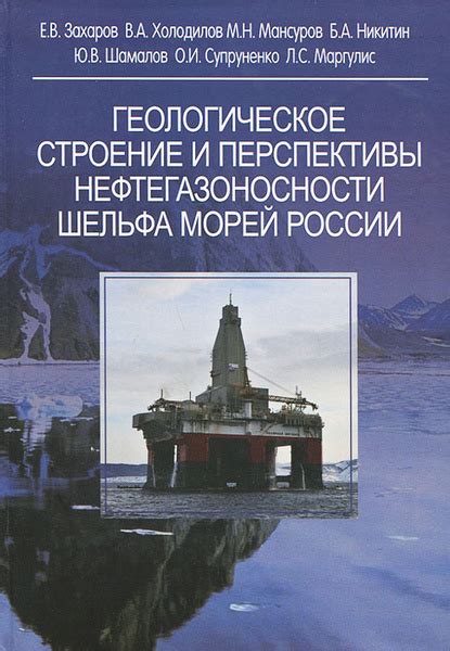 Перспективы развития и использования морского шельфа России в будущем