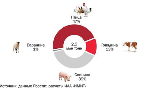 Перспективы развития кинологической отрасли в Вологде