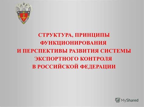 Перспективы развития системы контроля движения на дорогах Российской Федерации