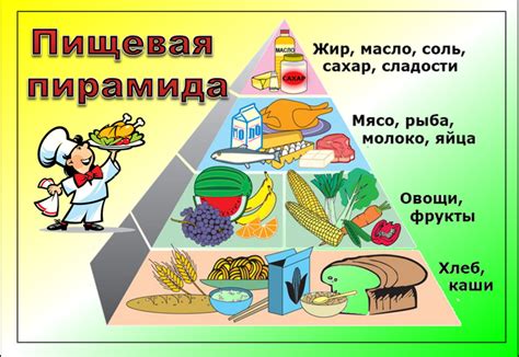 Питание и сбалансированный рацион: залог энергии и здоровья для женщины в зрелом возрасте