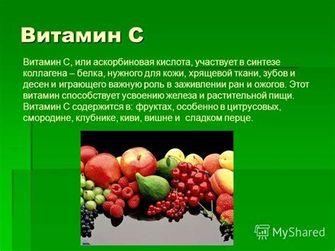 Питательная ценность растительной пищи: роль в доставке необходимых компонентов для организма