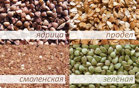 Питательность и благотворные свойства гречки