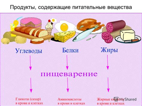 Питательные вещества без витаминов: неполноценность