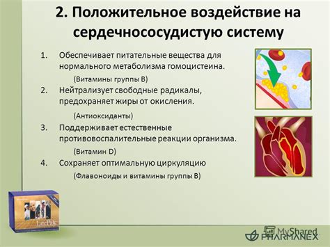 Питательные свойства кеты и ее положительное воздействие на сердечно-сосудистую систему