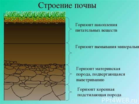 Плохое качество почвы и недостаток питательных веществ