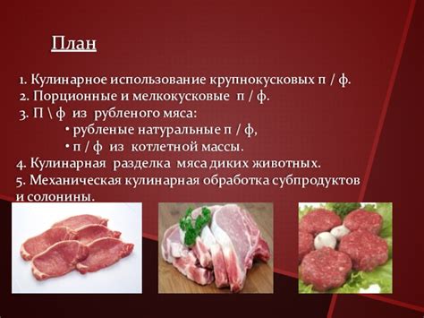 Плюсы и минусы включения сырого мяса в рацион домашней питомицы