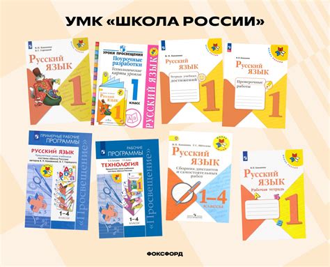 Плюсы и минусы покупки учебников Мордковича в книжных магазинах