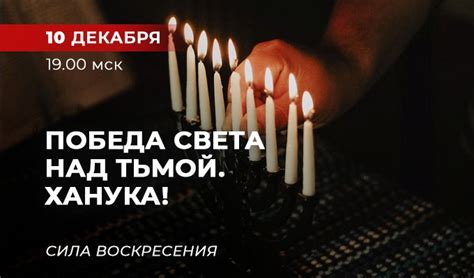 Победа света над тьмой: как птица избежала опасной хищницы