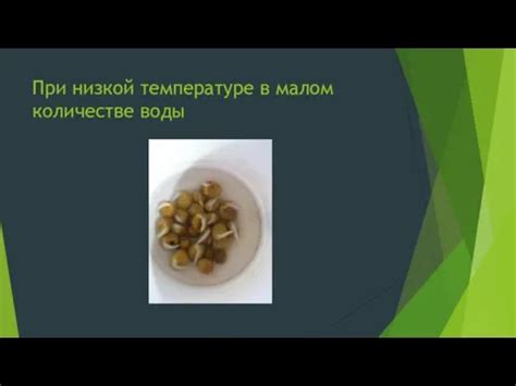 Поведение воды при низкой температуре