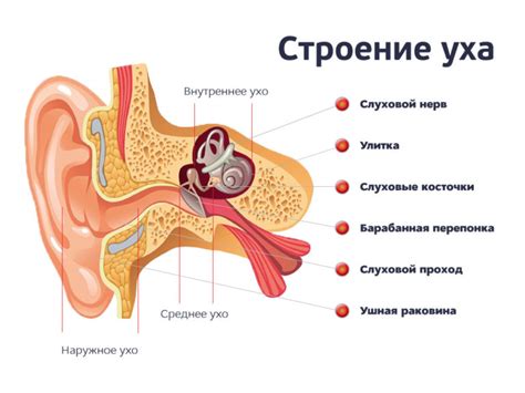 Повреждение уха