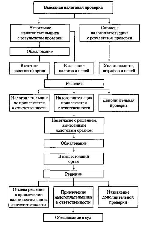 Повторная проверка налоговых обязательств: требования и процедура