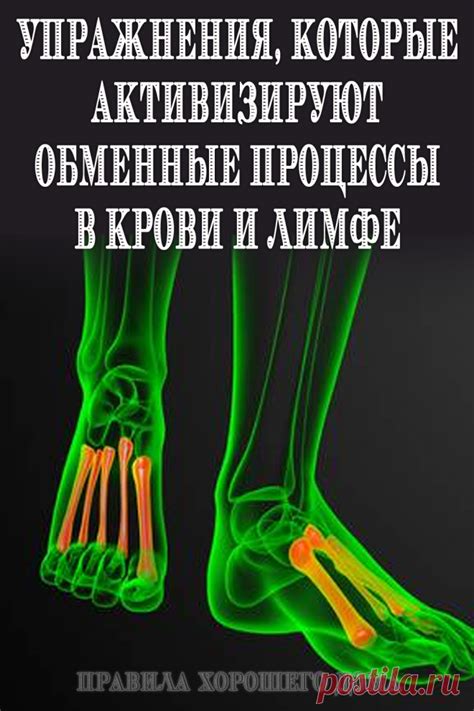 Повышение обменных процессов в организме: эффективные способы и полезные советы