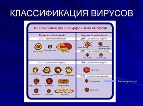 Повышение устойчивости к заболеваниям