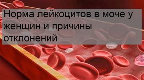 Повышенное содержание соединений фосфора в моче у женщин: причины и механизмы