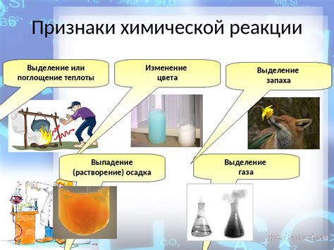 Поглощение влаги: механизмы и физические явления