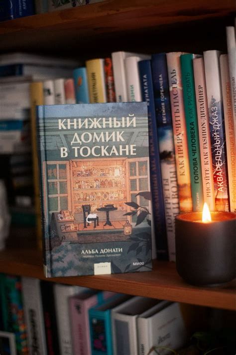 Погружение в мир литературы в библиотеках и книжных магазинах