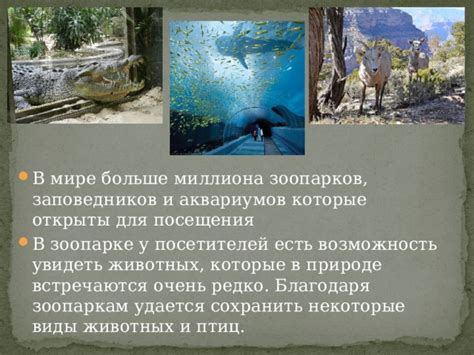 Погрузитесь в удивительный мир животных благодаря посещению зоопарков и аквариумов