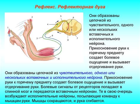 Подавление рефлекса рвоты