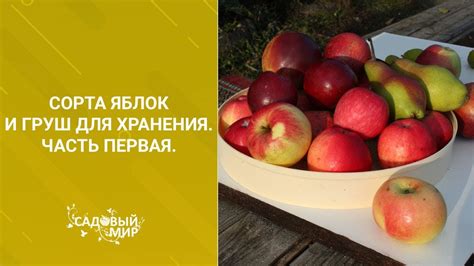 Подбор оптимального уровня влажности для продолжительного хранения яблок