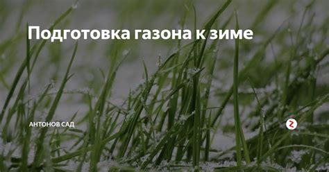 Подготовка газона к орошению: необходимые меры и приготовления